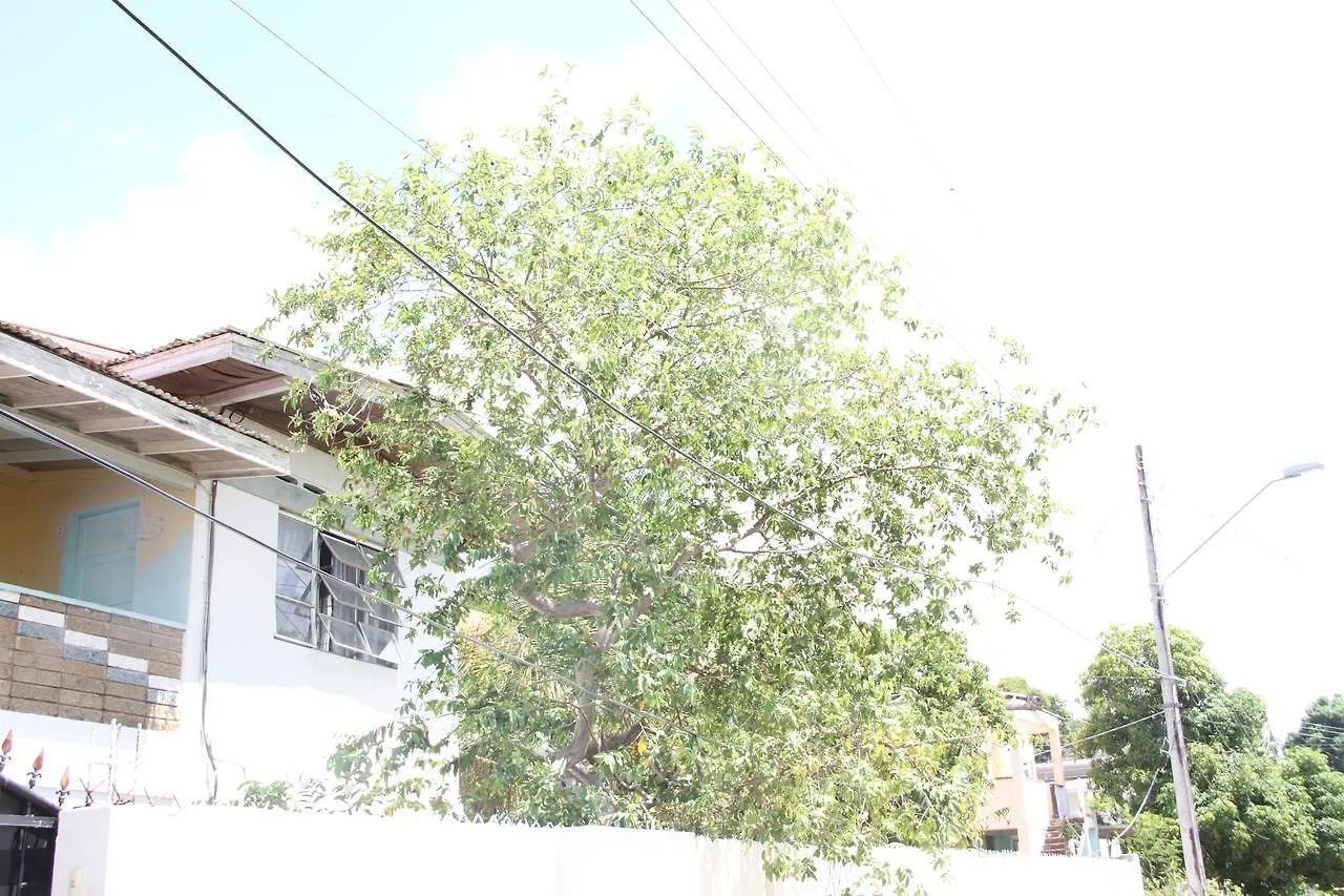 住宿加早餐酒店 Caribbean Villas San Juan